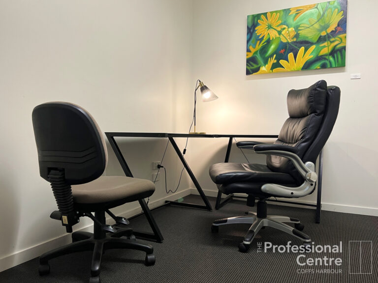 The Professional Centre Room 1